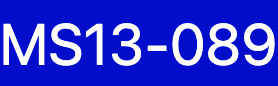Ms13-089 logo